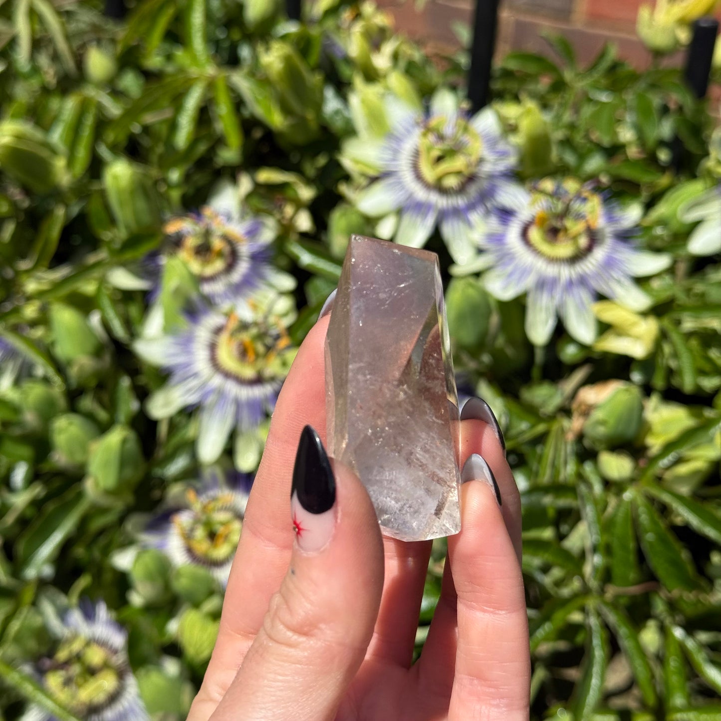 Rutilated Quartz
