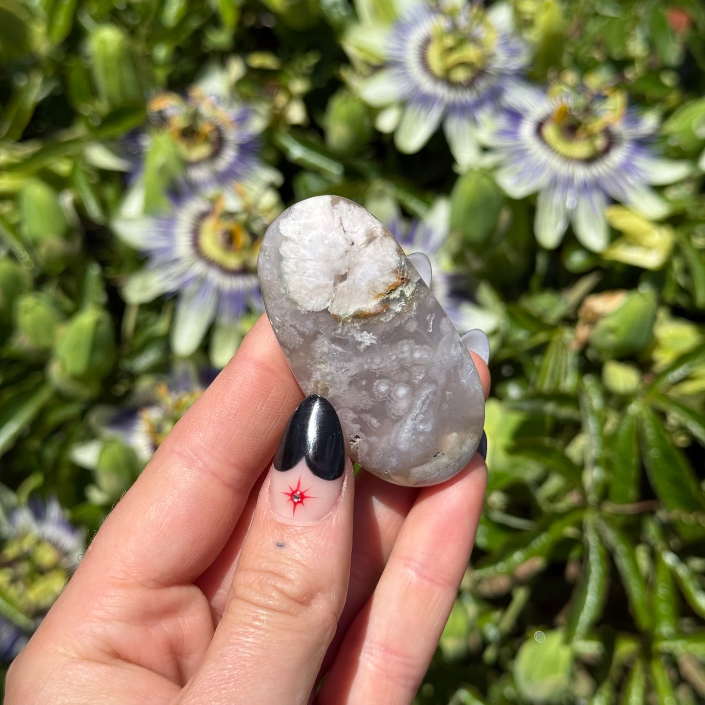 Blossom Agate Palm Stone