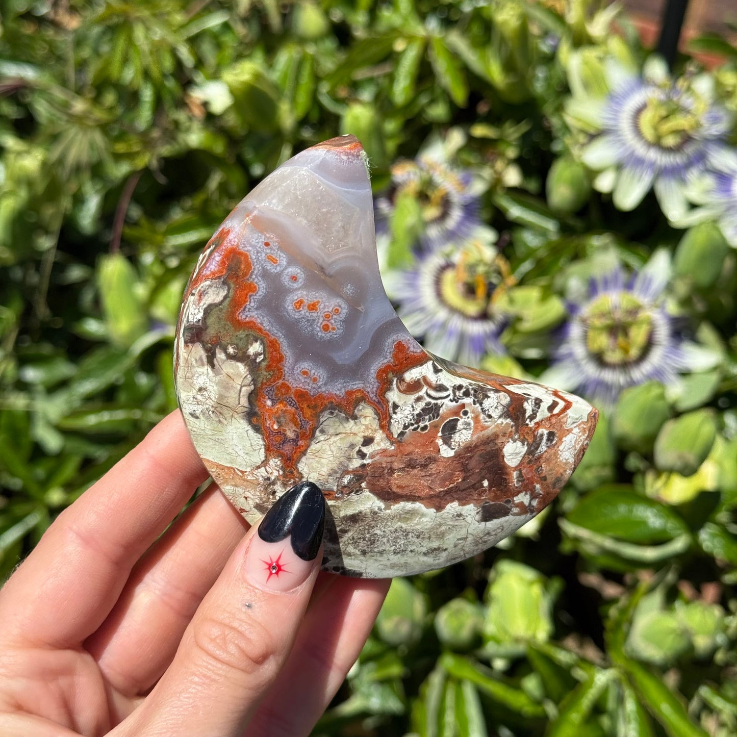 Money Agate Moon