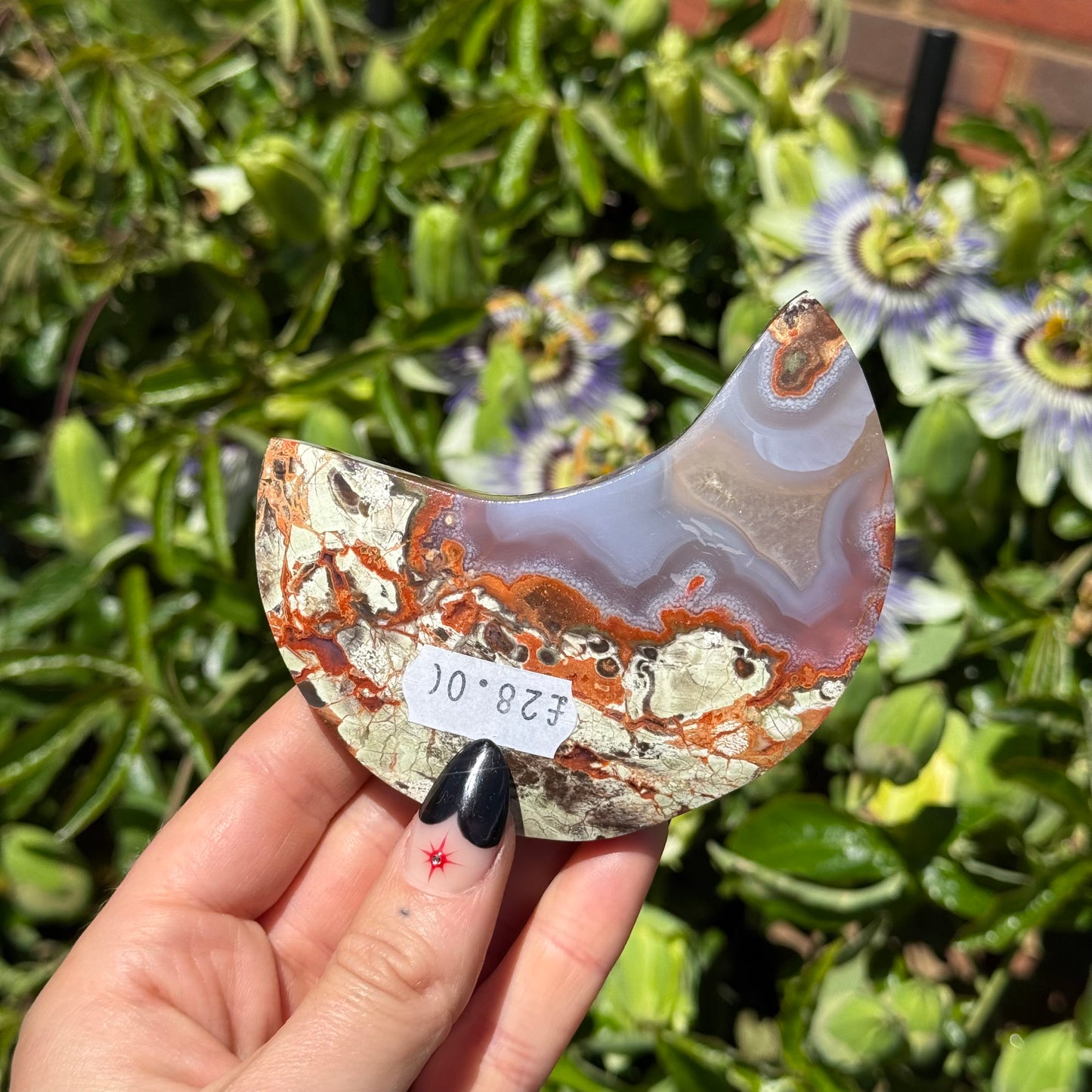Money Agate Moon