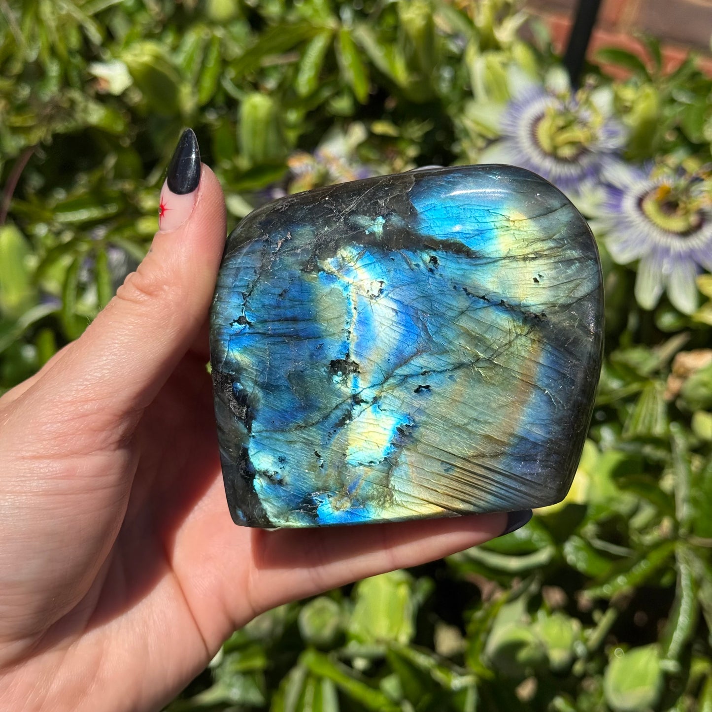 Labradorite Freeform