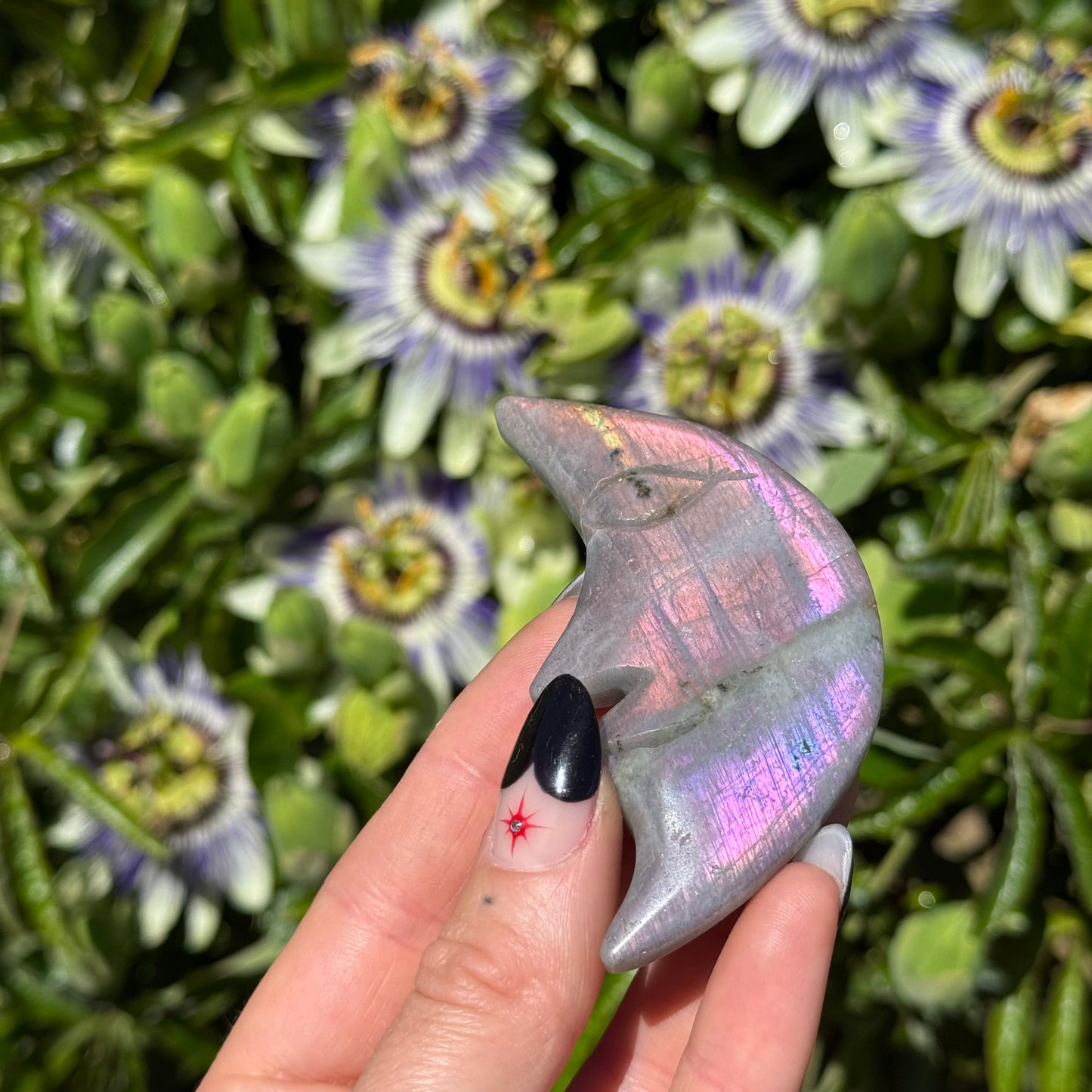 Purple Labradorite Moon