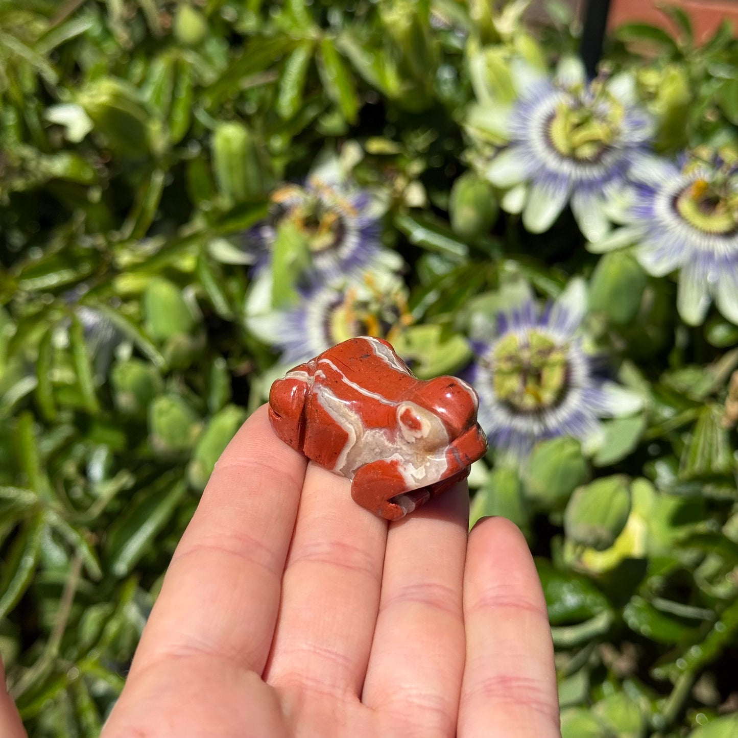 Red Jasper Frog