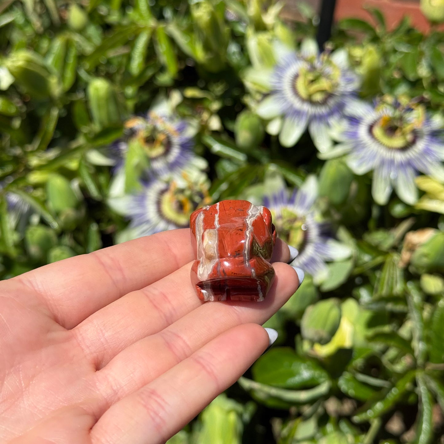 Red Jasper Frog