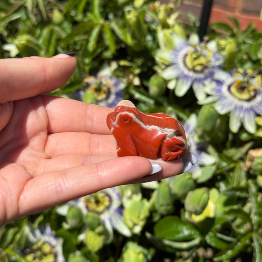 Red Jasper Frog