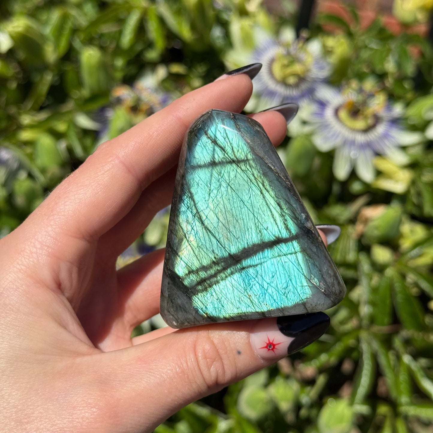 Labradorite Freeform