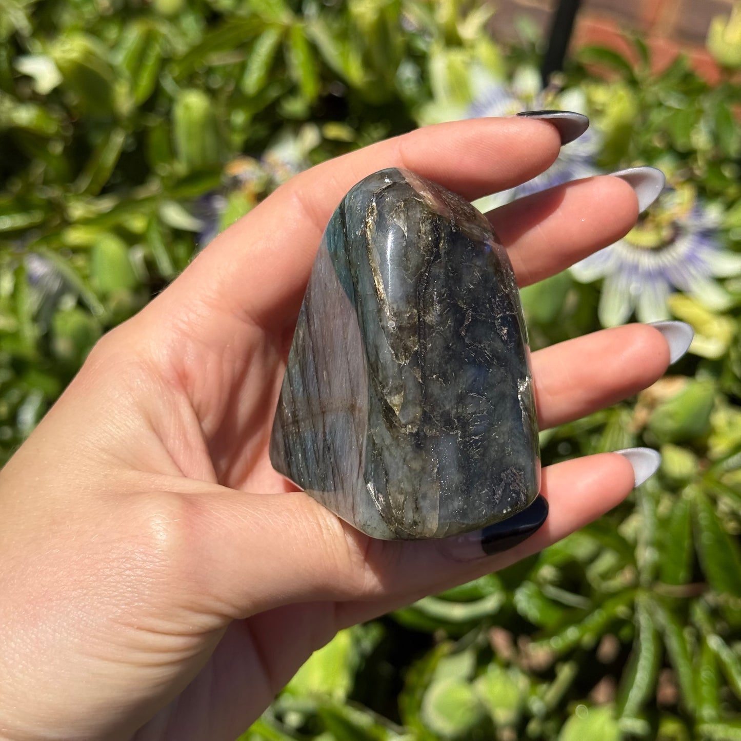 Labradorite Freeform