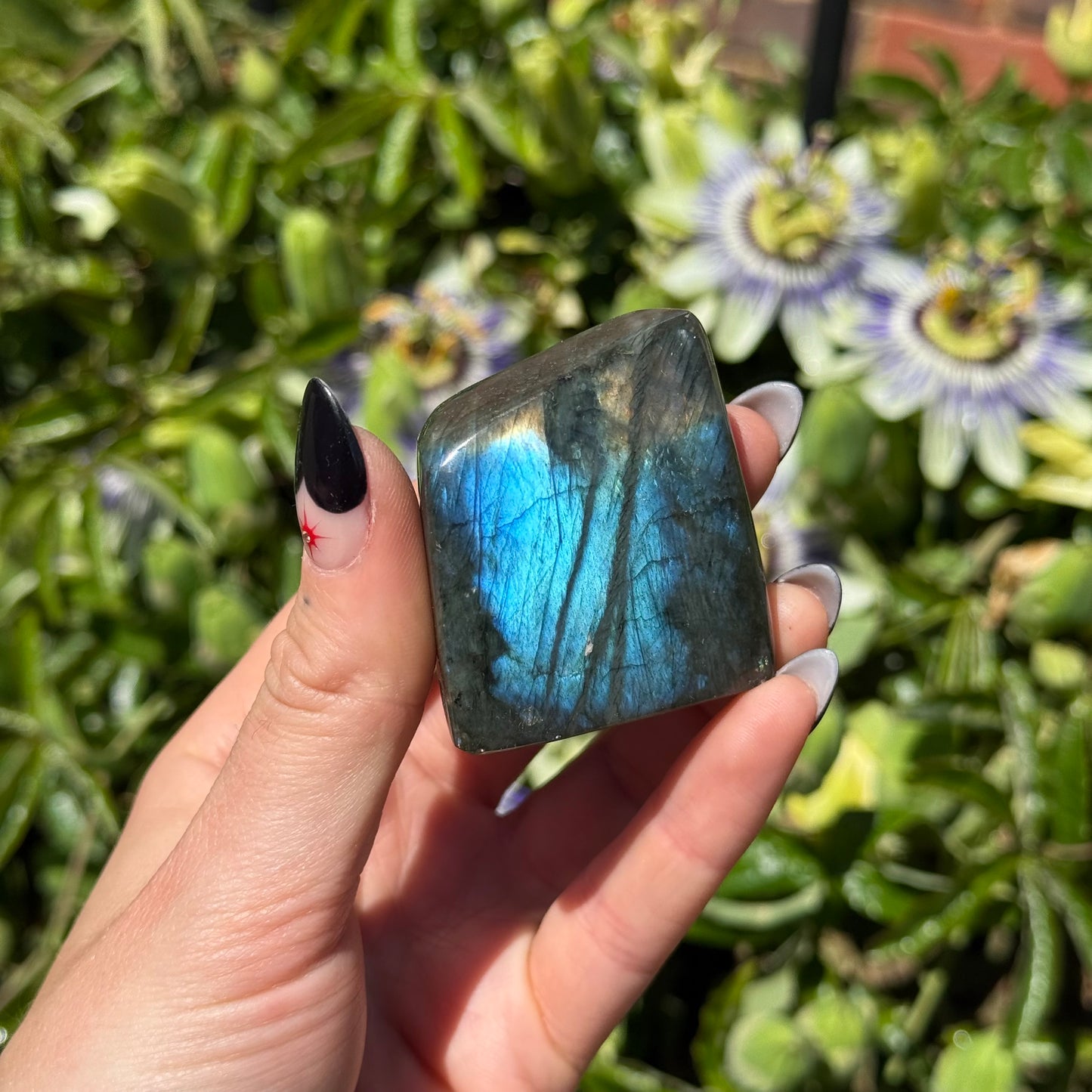 Labradorite Freeform