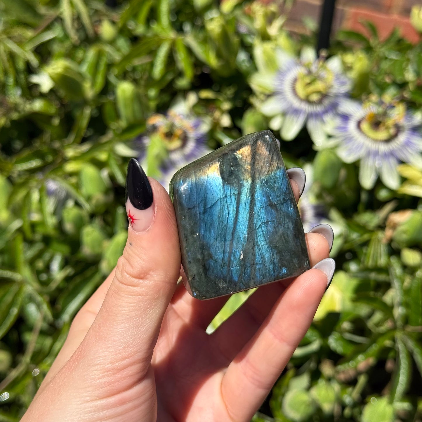Labradorite Freeform
