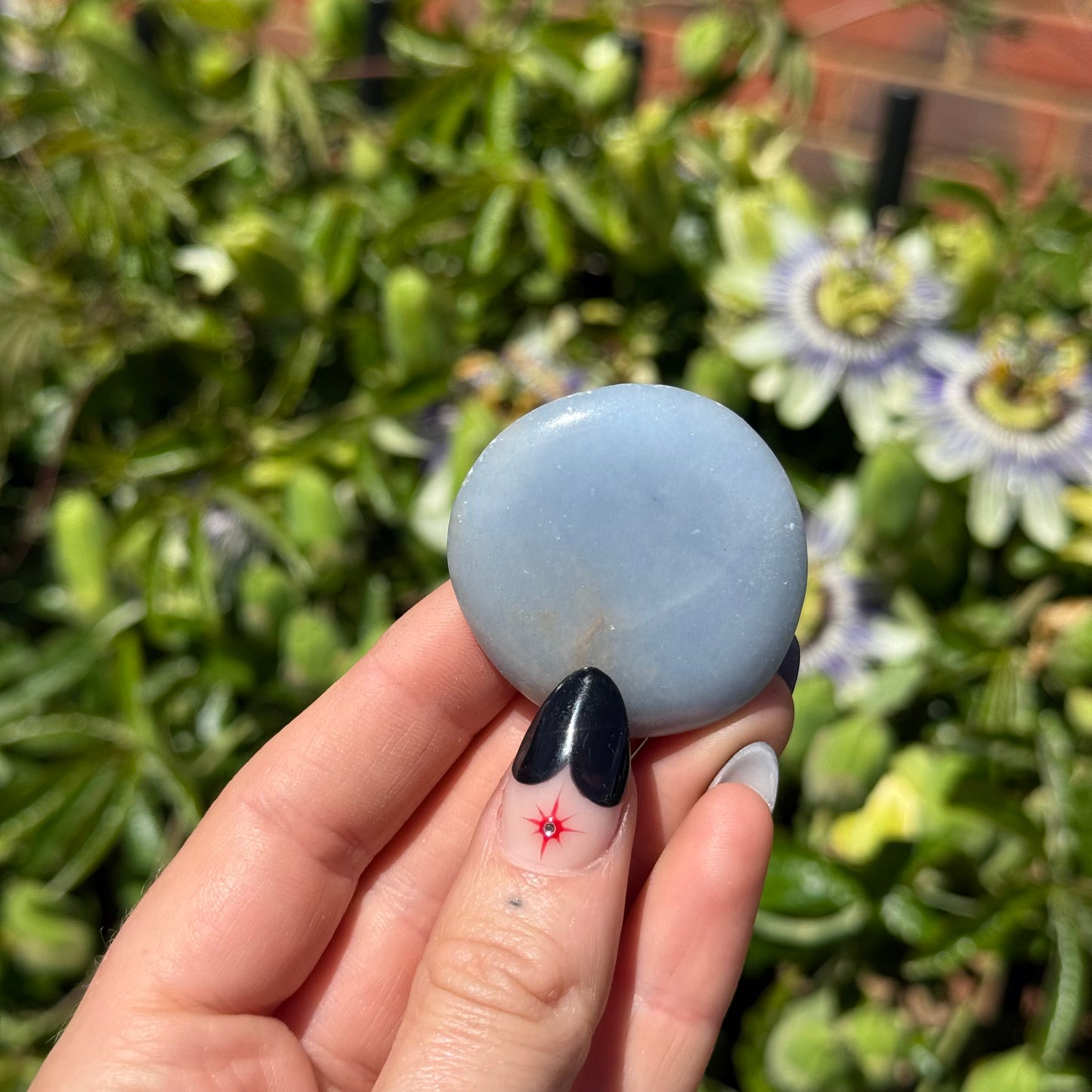 Angelite Palm Stone