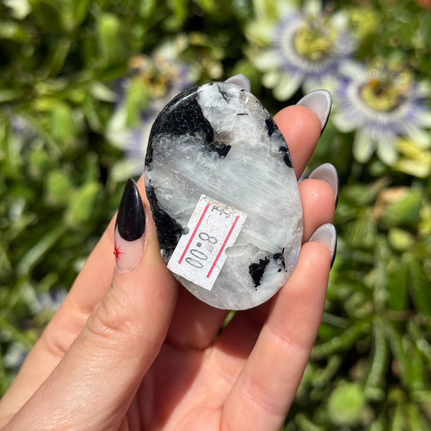 Rainbow Moonstone Palm Stone