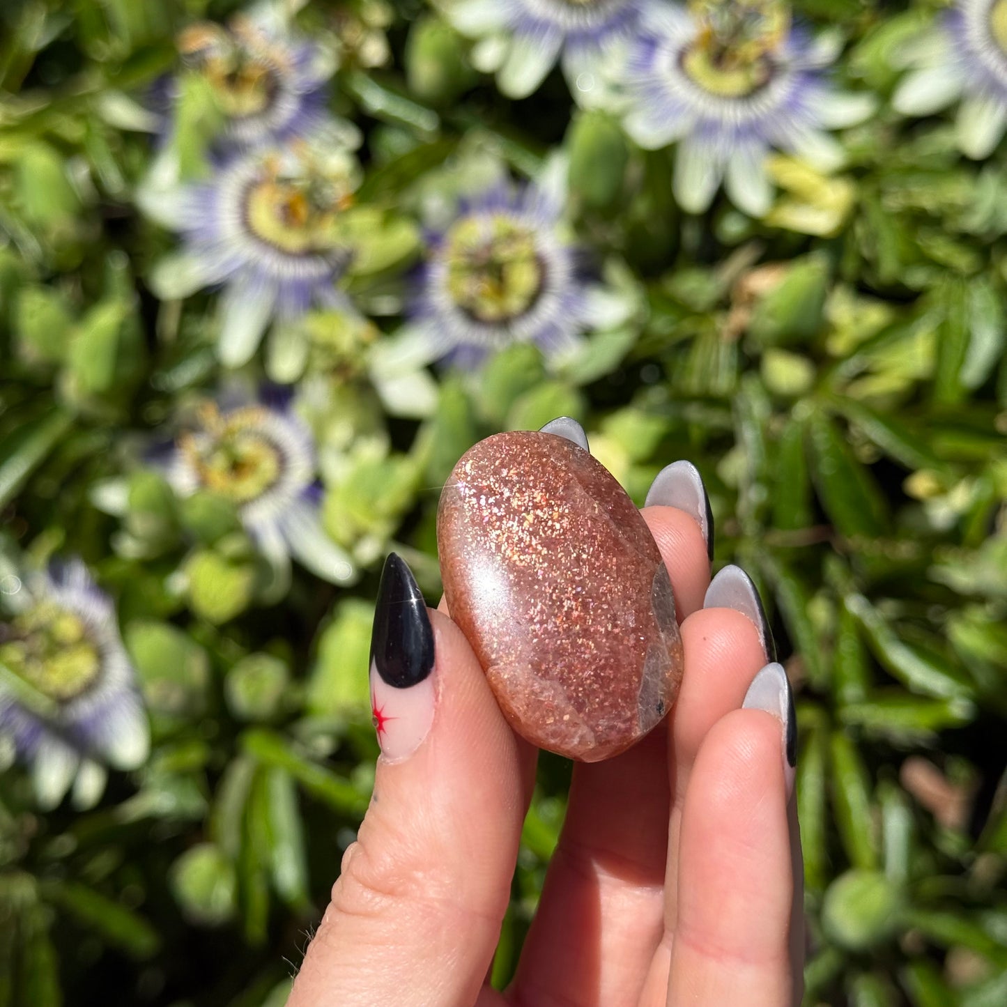 Sunstone Palm Stone