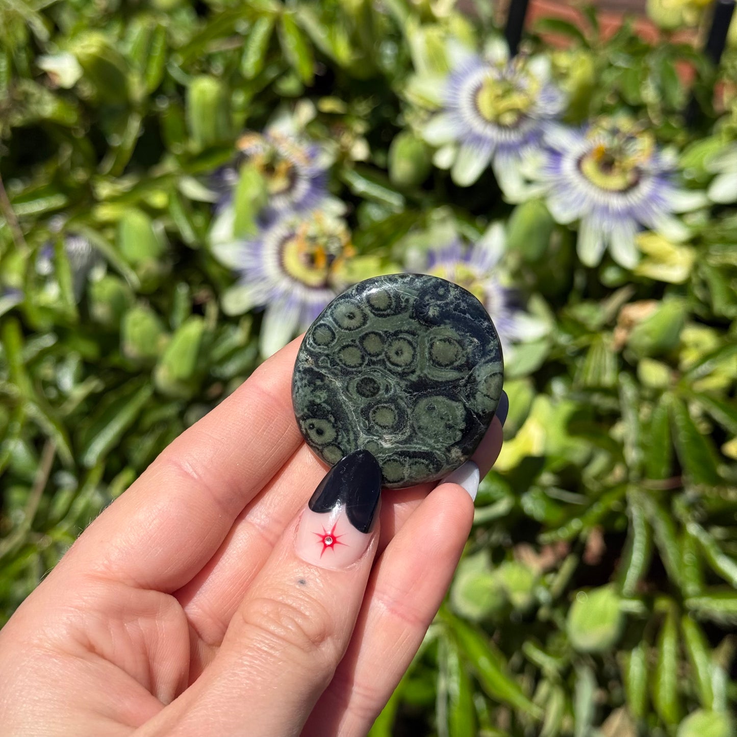 Kambaba Jasper Palm Stone