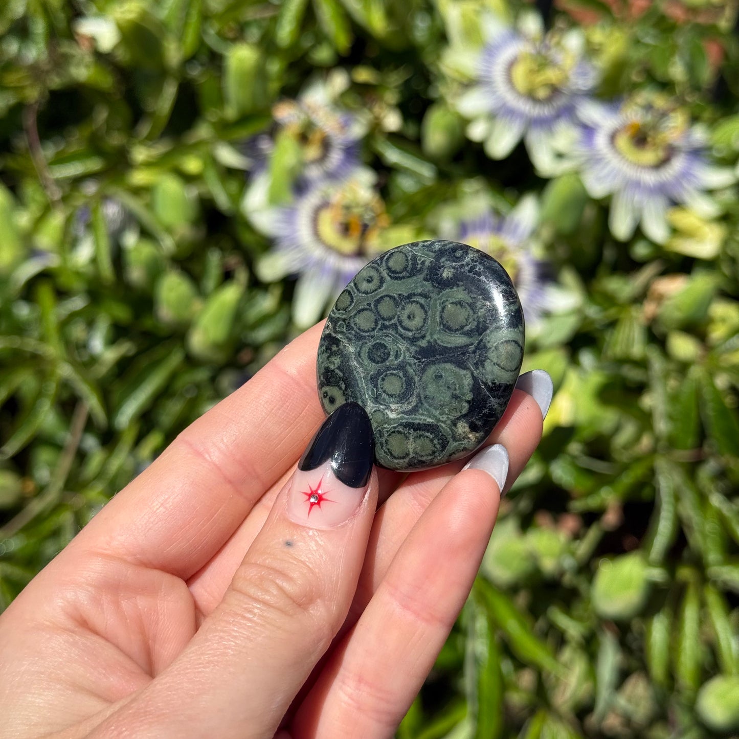 Kambaba Jasper Palm Stone
