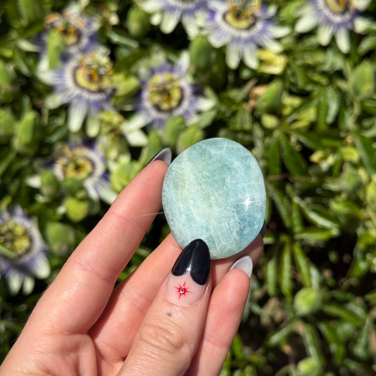 Aquamarine Palm Stone