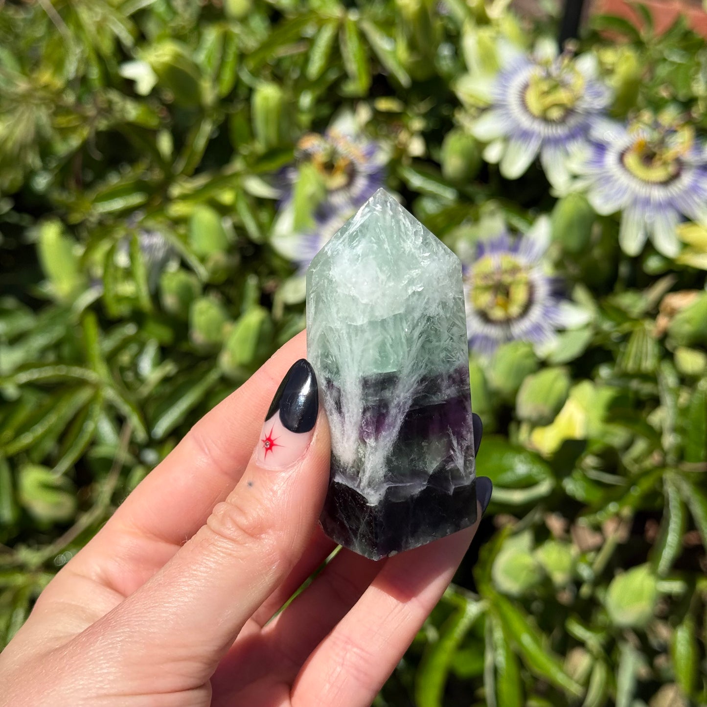 Fluorite With Scolecite