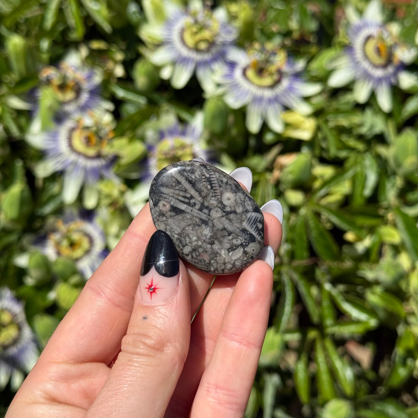 Fossil Jasper Palm Stone