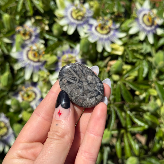 Fossil Jasper Palm Stone