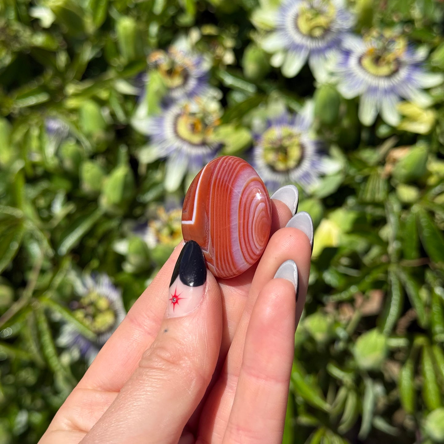 Carnelian Palm Stone
