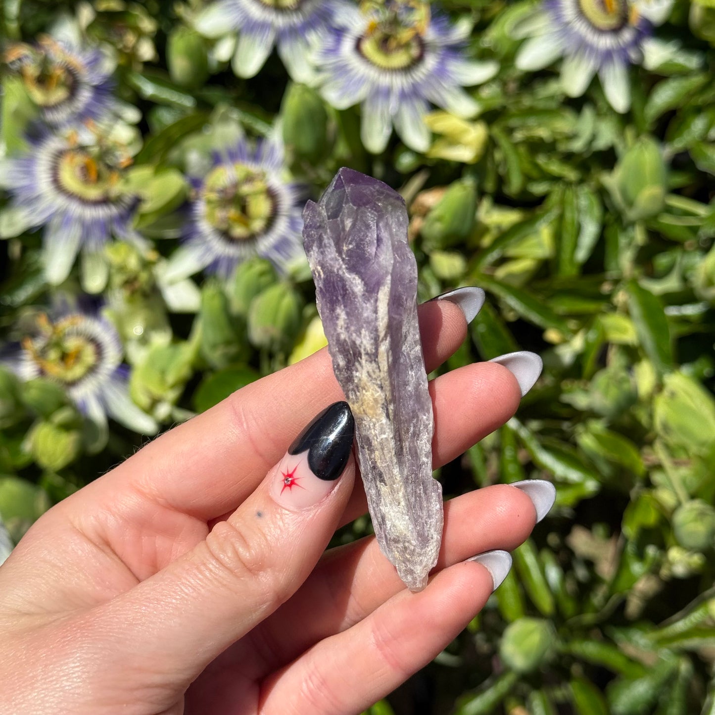 Amethyst Root
