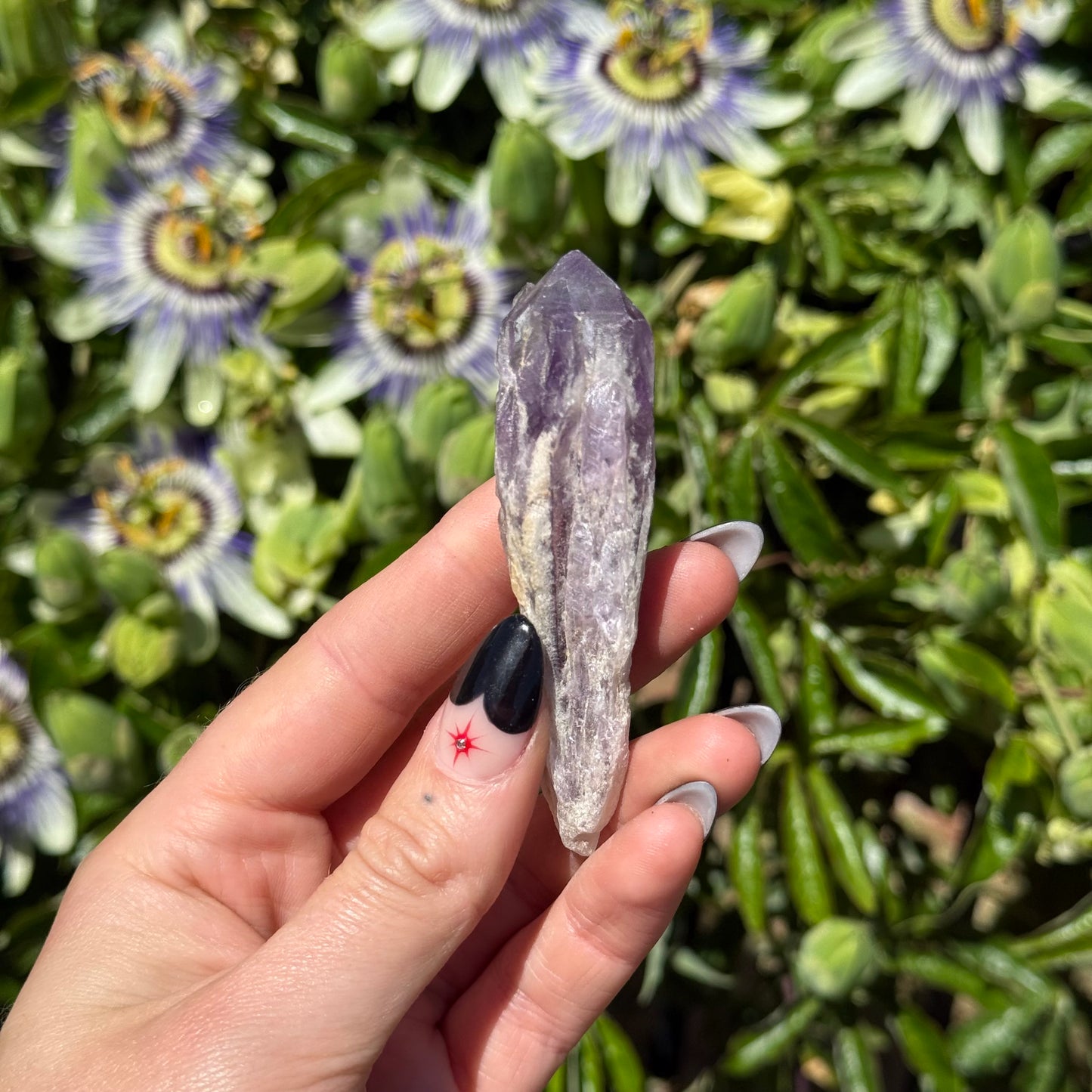 Amethyst Root