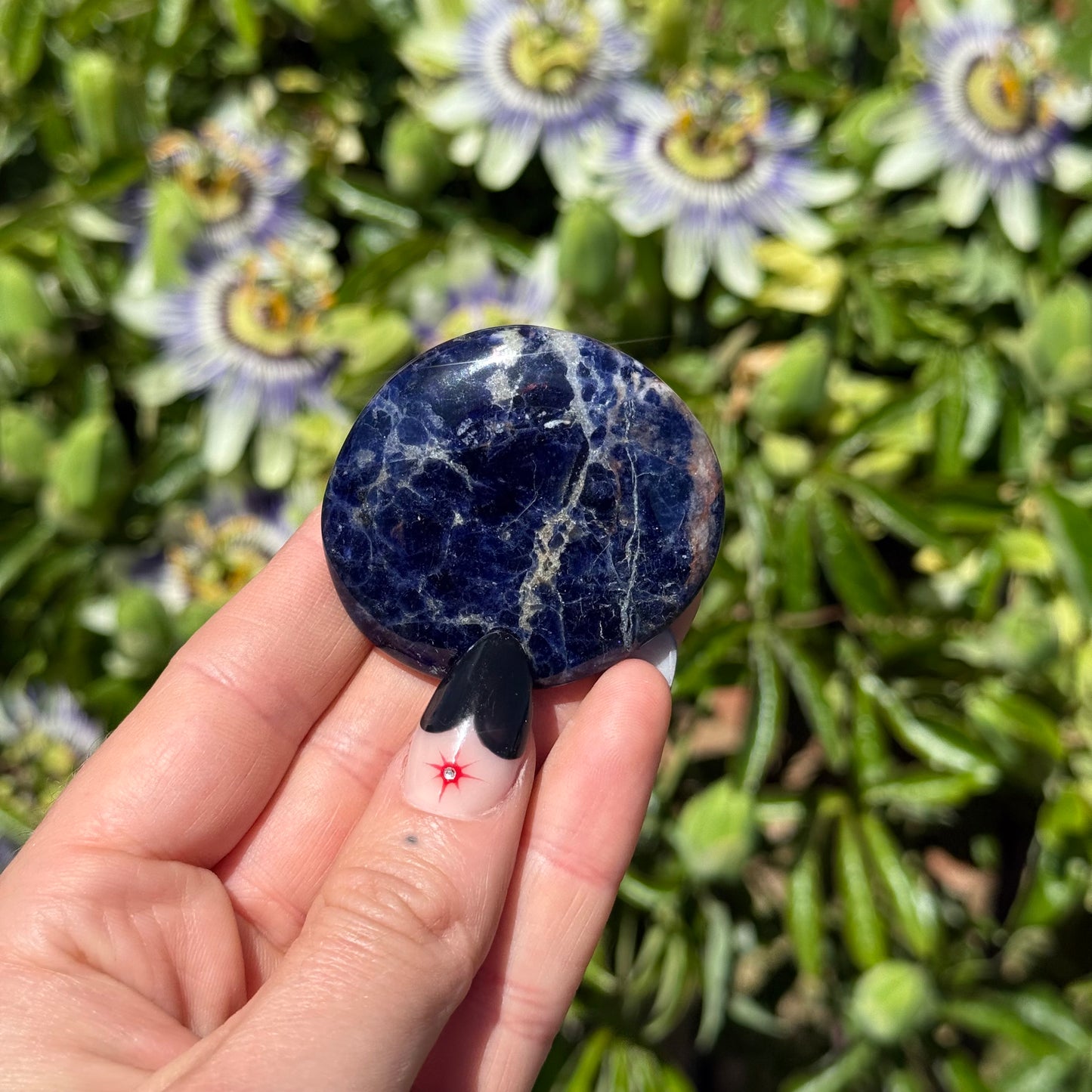 Sodalite Palm Stone