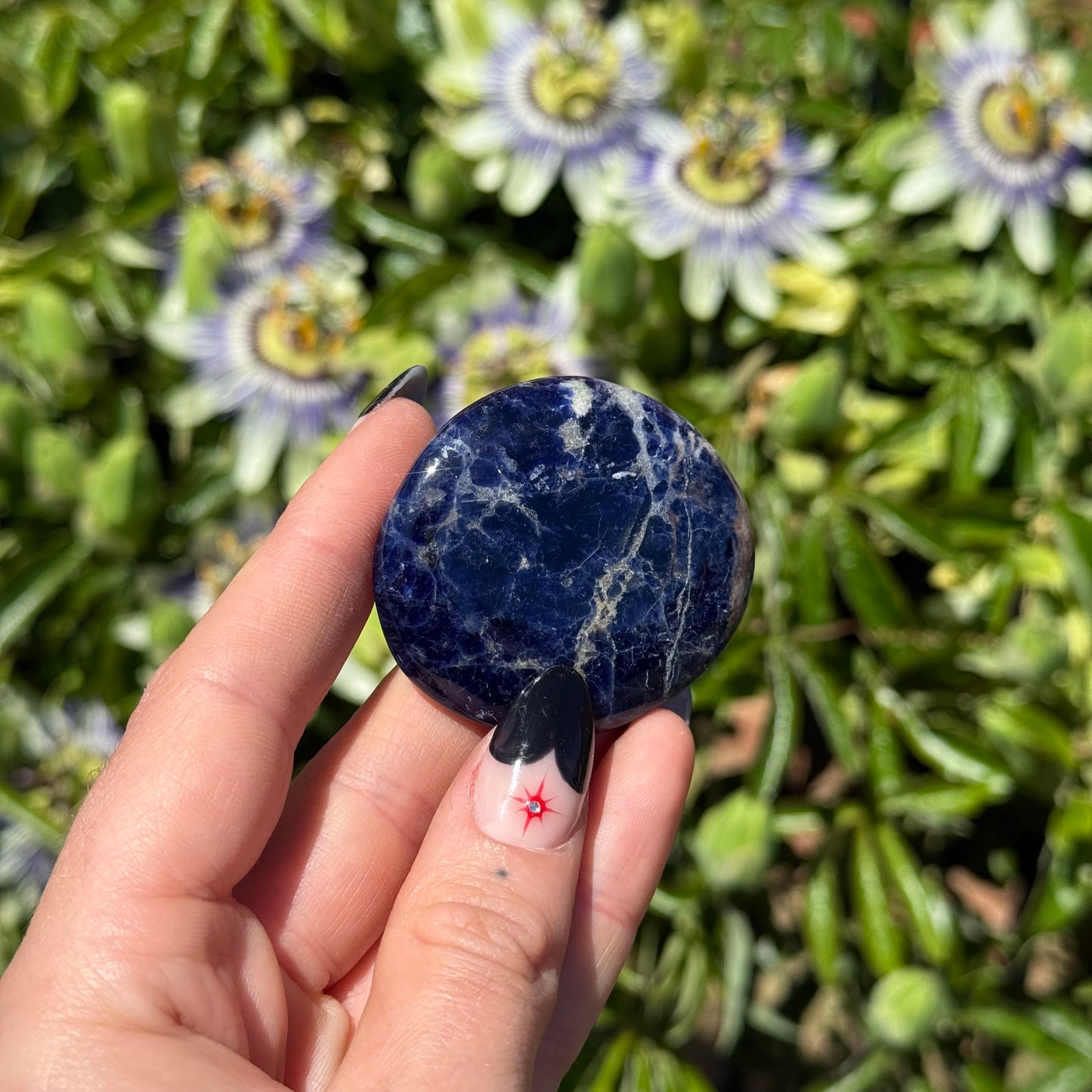 Sodalite Palm Stone