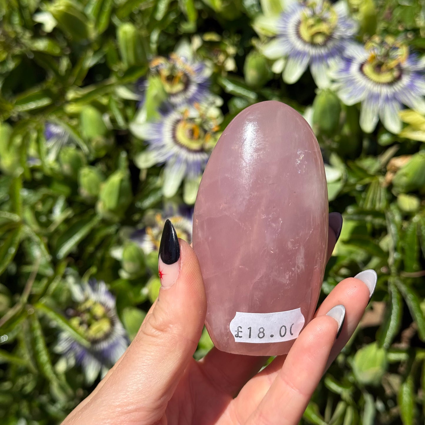Rose Quartz Freeform