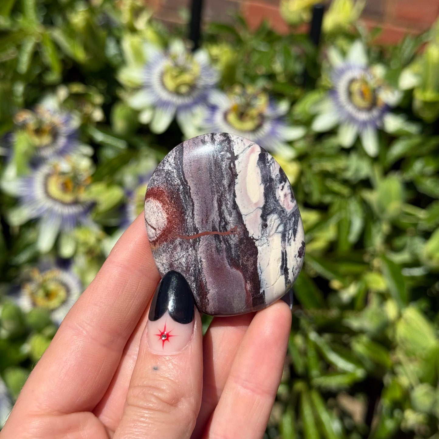 Picture Jasper Palm Stone