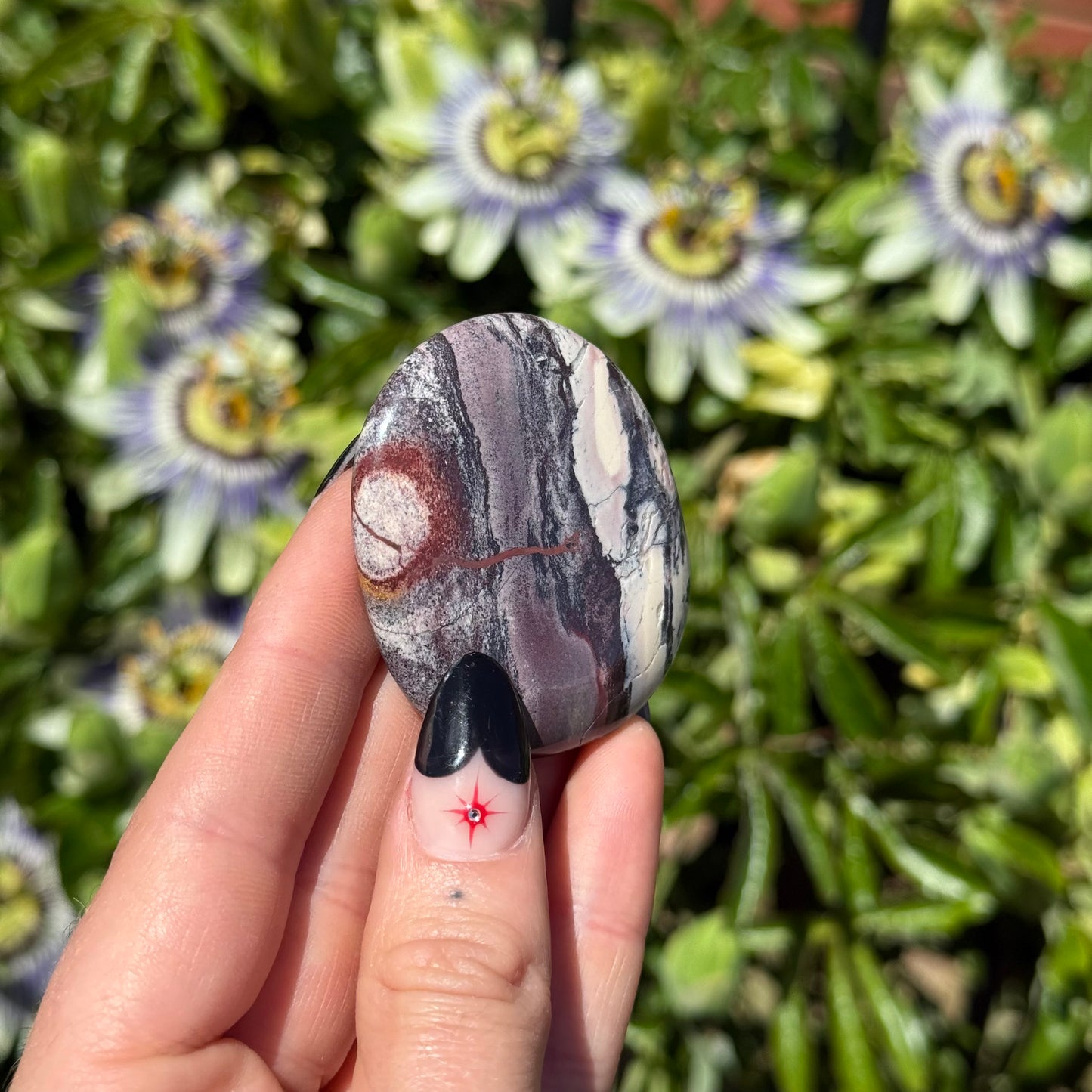 Picture Jasper Palm Stone