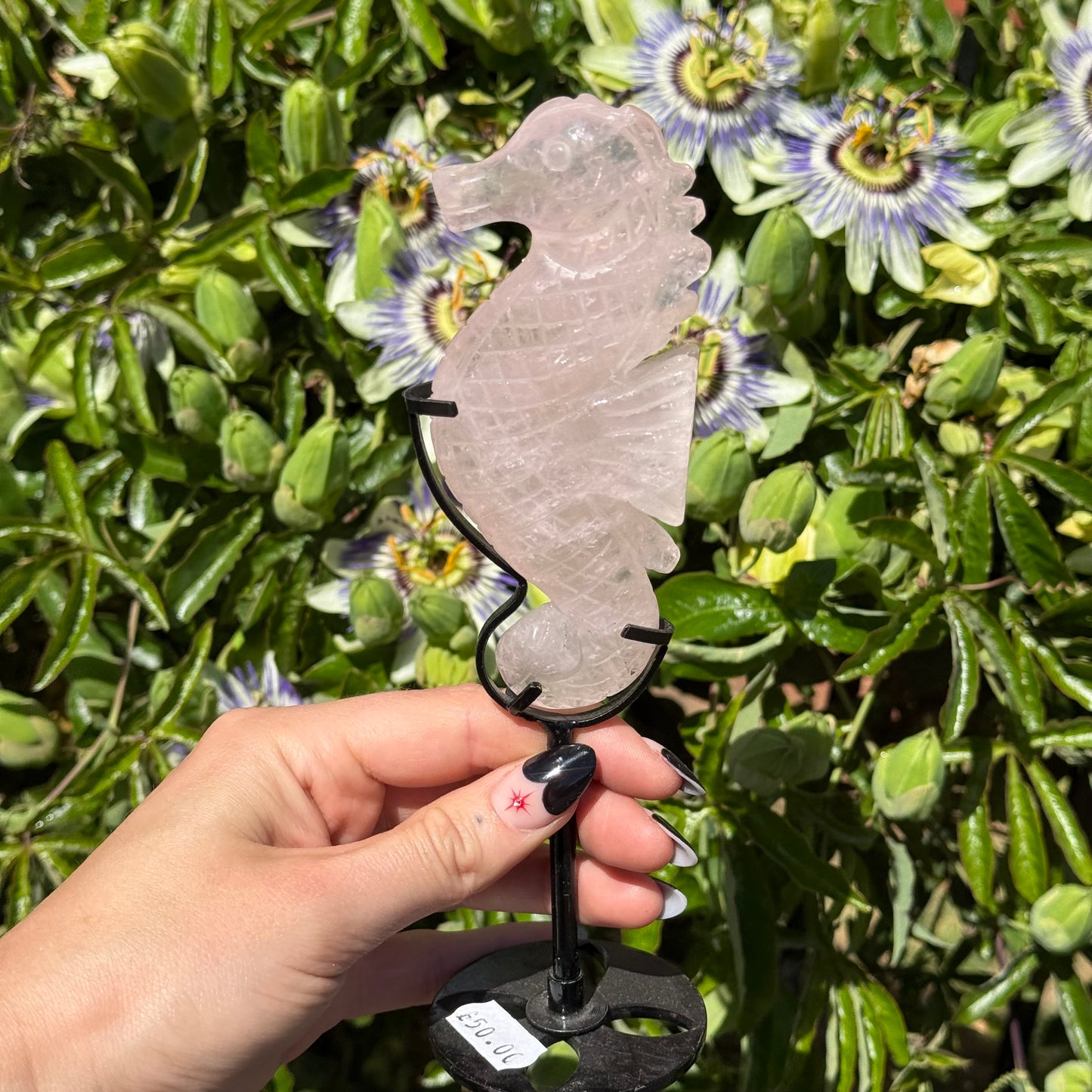 Rose Quartz Sea Horse On Stand