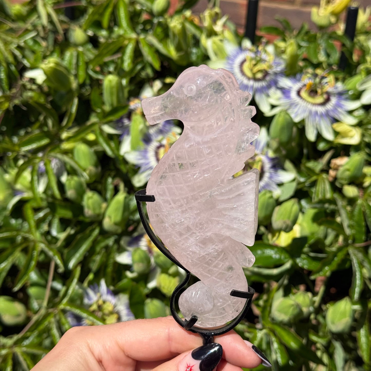 Rose Quartz Sea Horse On Stand