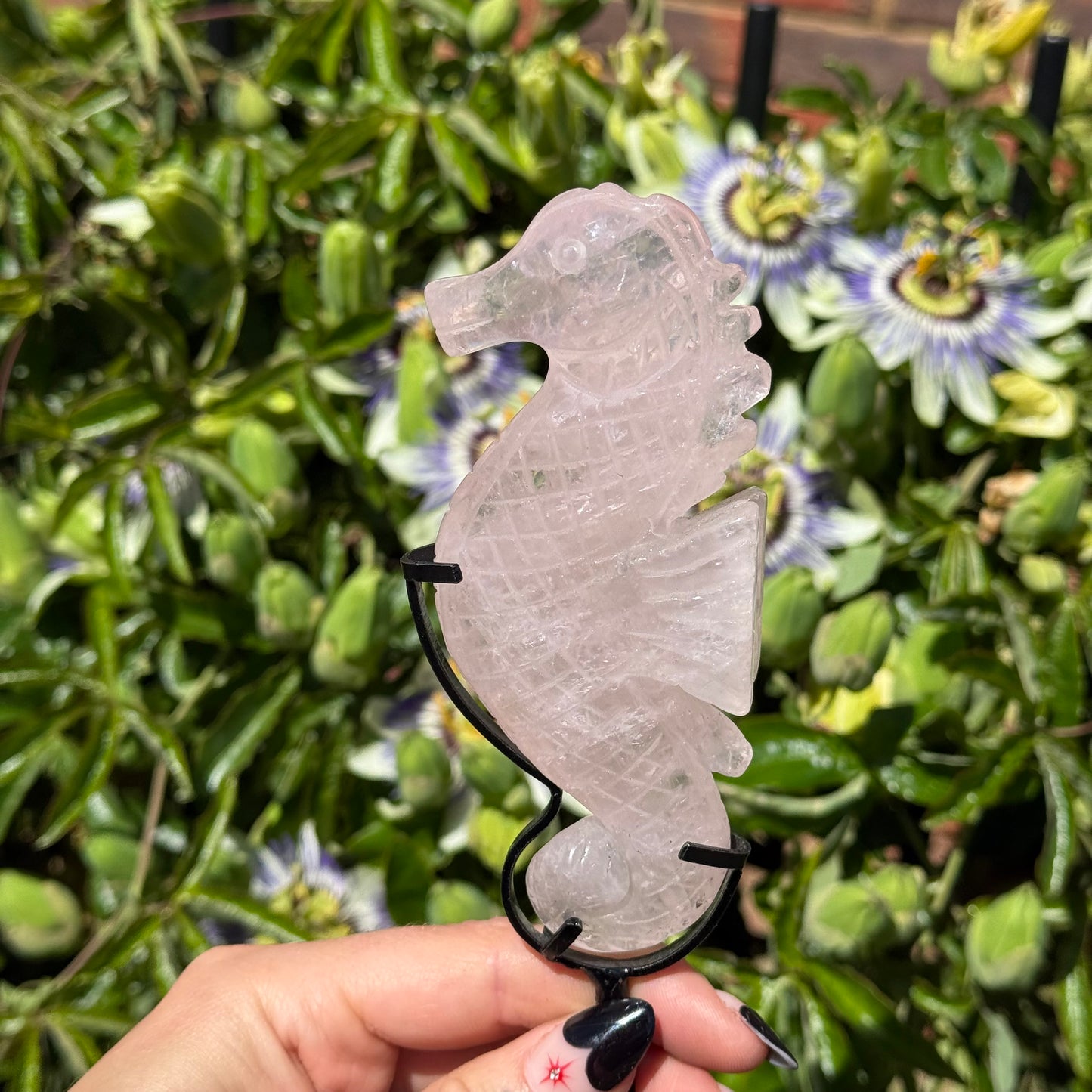Rose Quartz Sea Horse On Stand