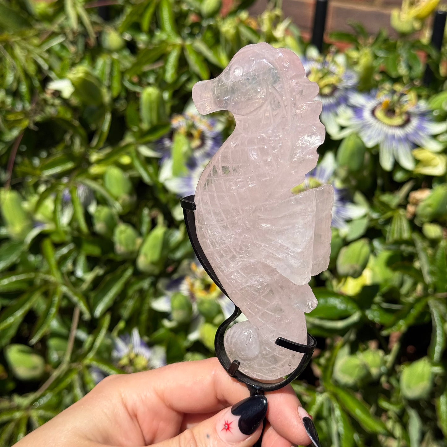 Rose Quartz Sea Horse On Stand