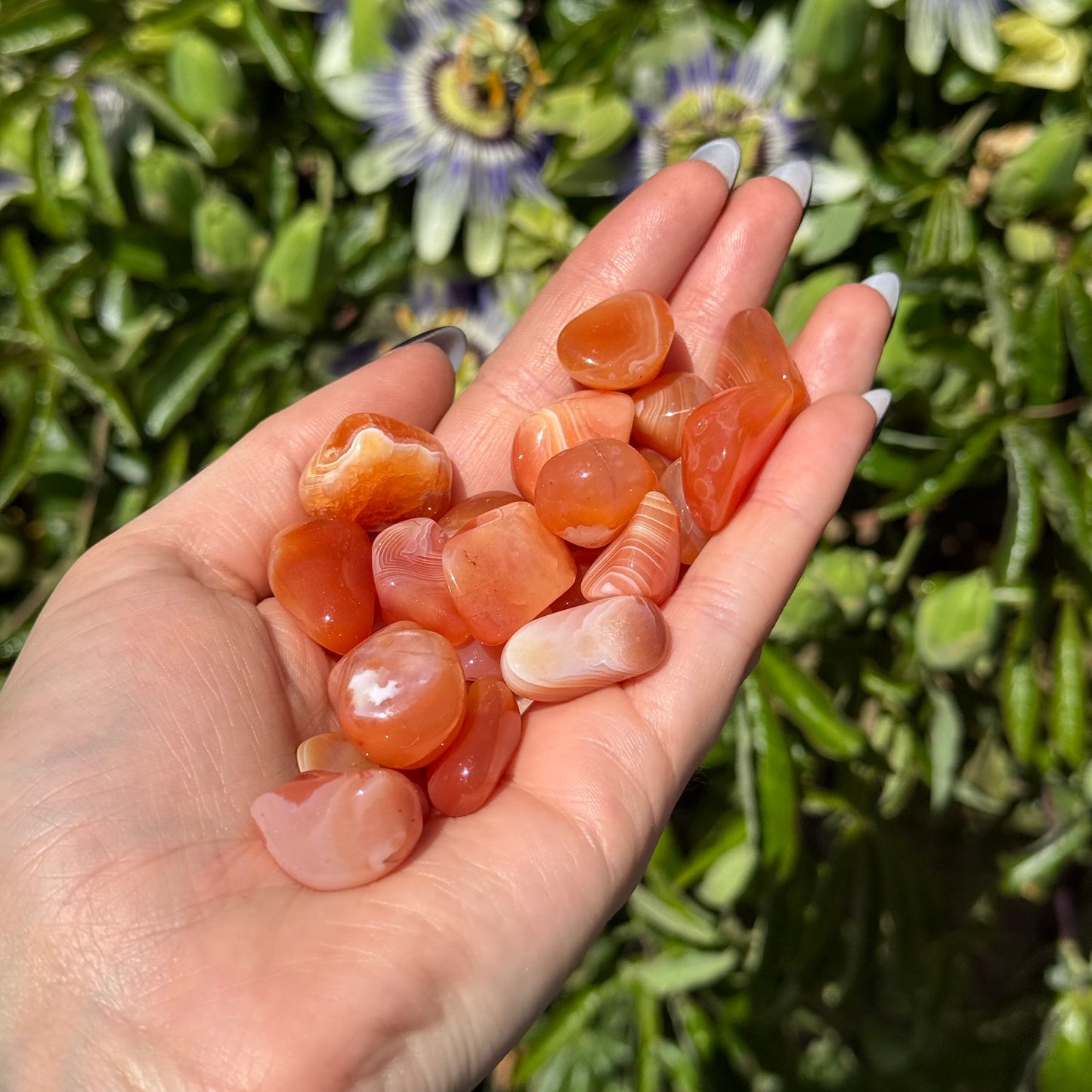 1pcs Tumbled Peach Agate