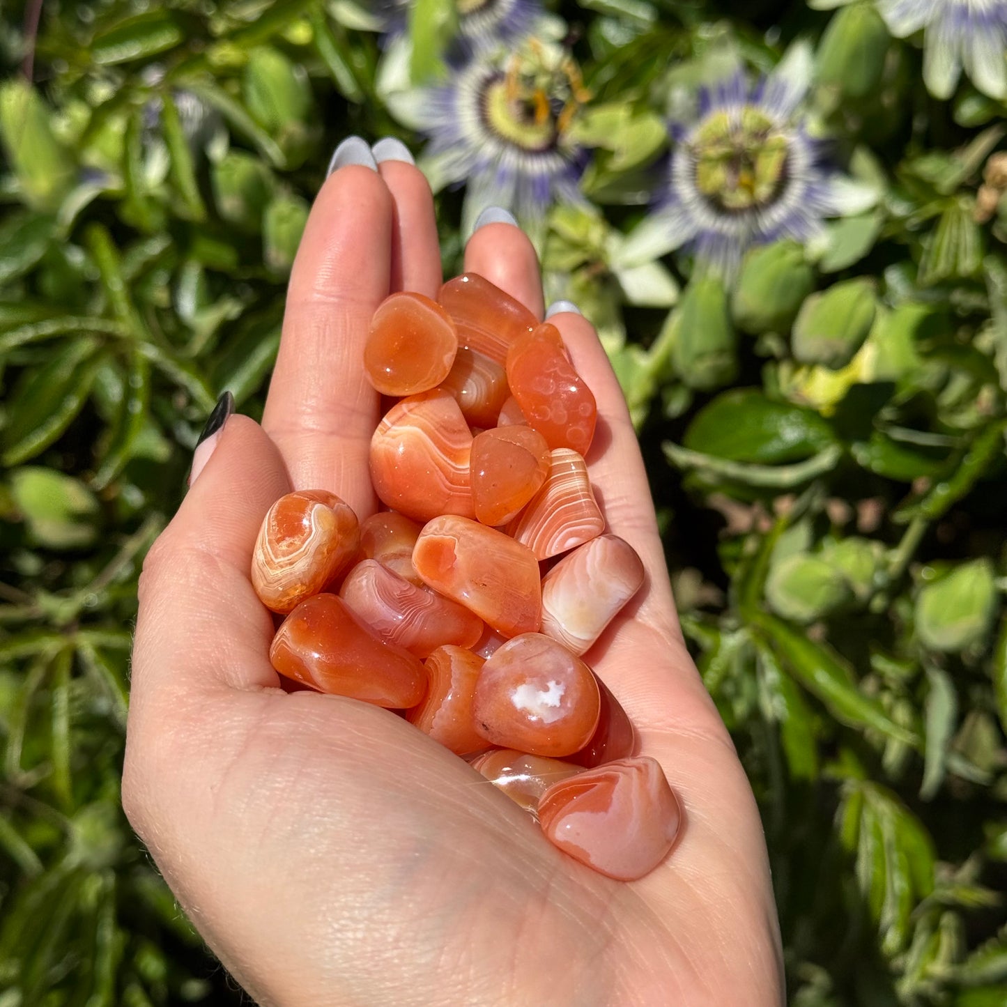 1pcs Tumbled Peach Agate
