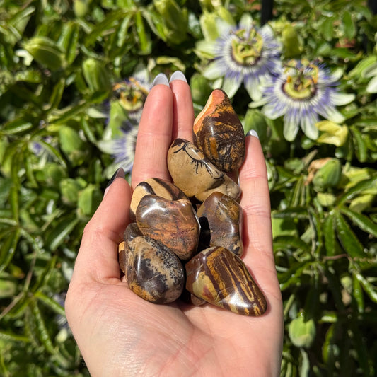 1pcs Tumbled Nguni Jasper