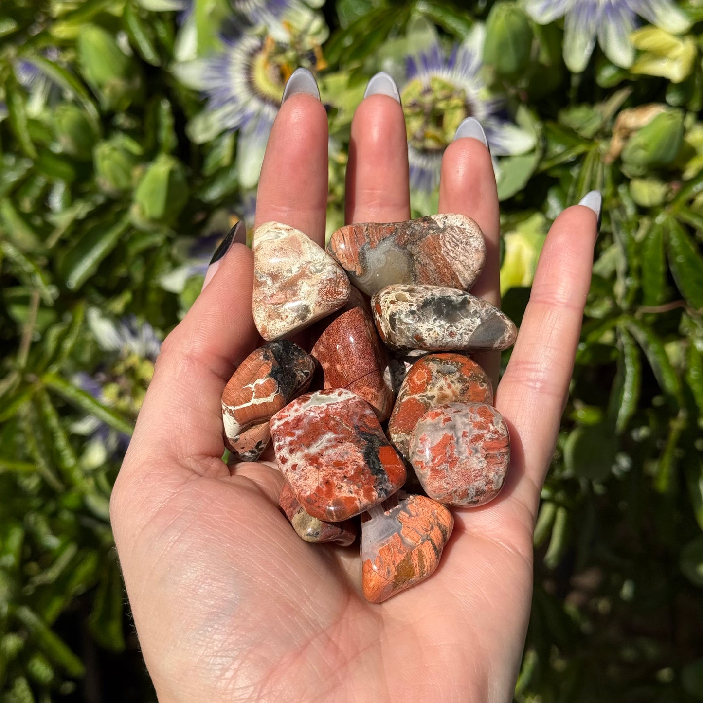 1pcs Tumbled Brecciated Jasper
