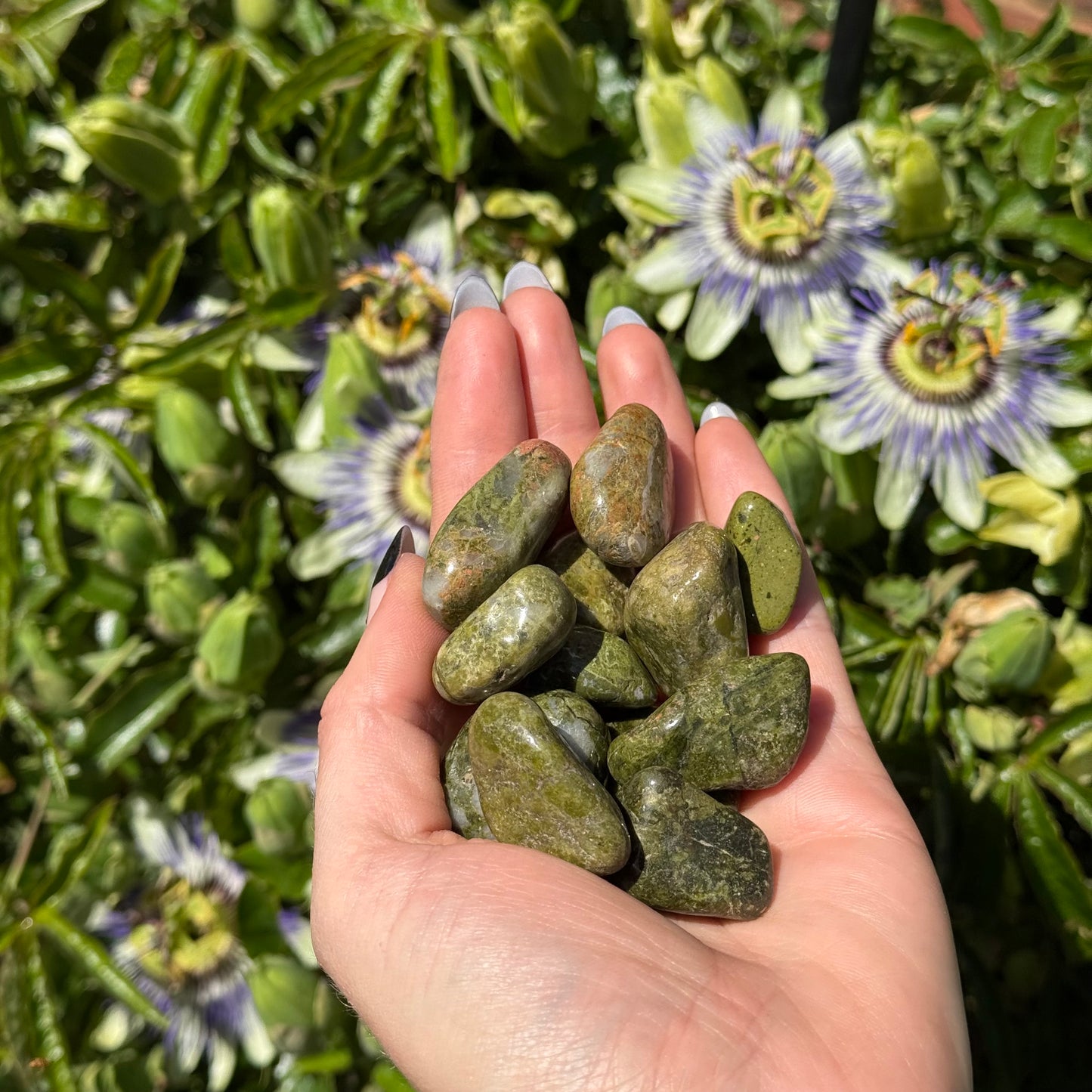 1pcs Tumbled Epidote
