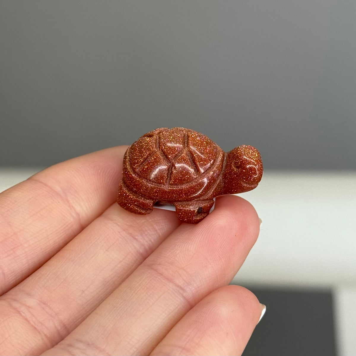 Goldstone Turtle