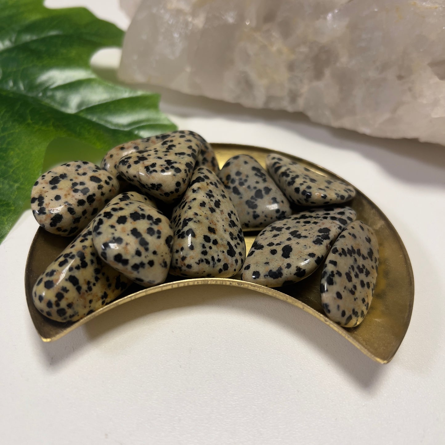 1pcs Dalmation Jasper Tumble