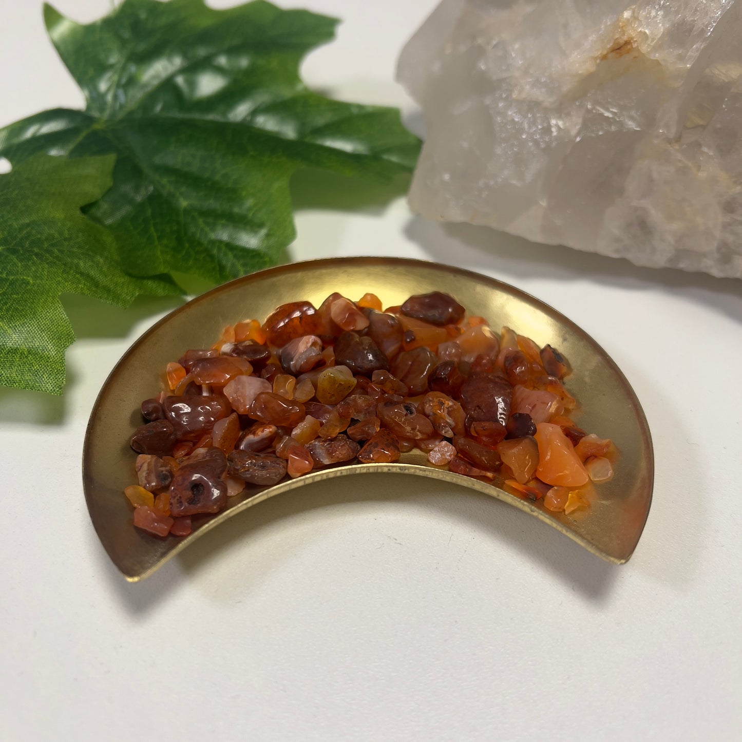 Carnelian Chip Scoop